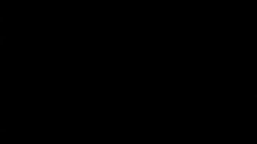 பிரேஸர்ஸின் கவர்ச்சியான அலுரா டிஎன்டி ஜென்சனுடன் மிஷனரி ஸ்மட்