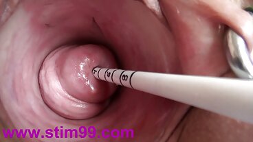 குறும்பு அமெரிக்காவைச் சேர்ந்த மர்லின் மாளிகையுடன் ஆபாச முத்தம்